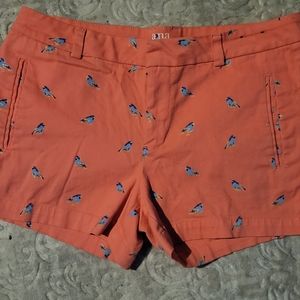 Pink shorts covered with Blue birds
